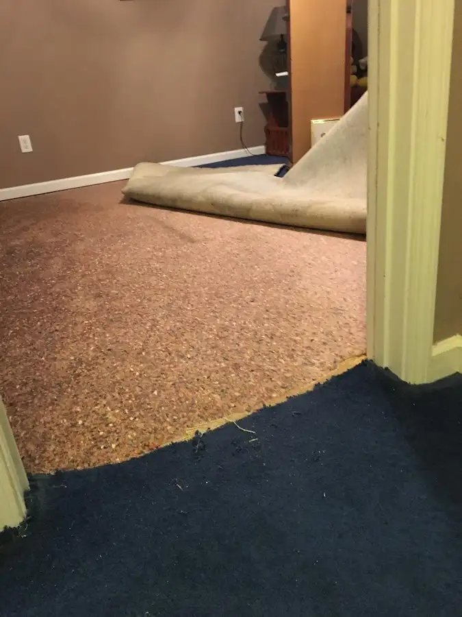 Carpet pad removal revealing water damage during Drying & Dehumidification in New Smyrna Beach